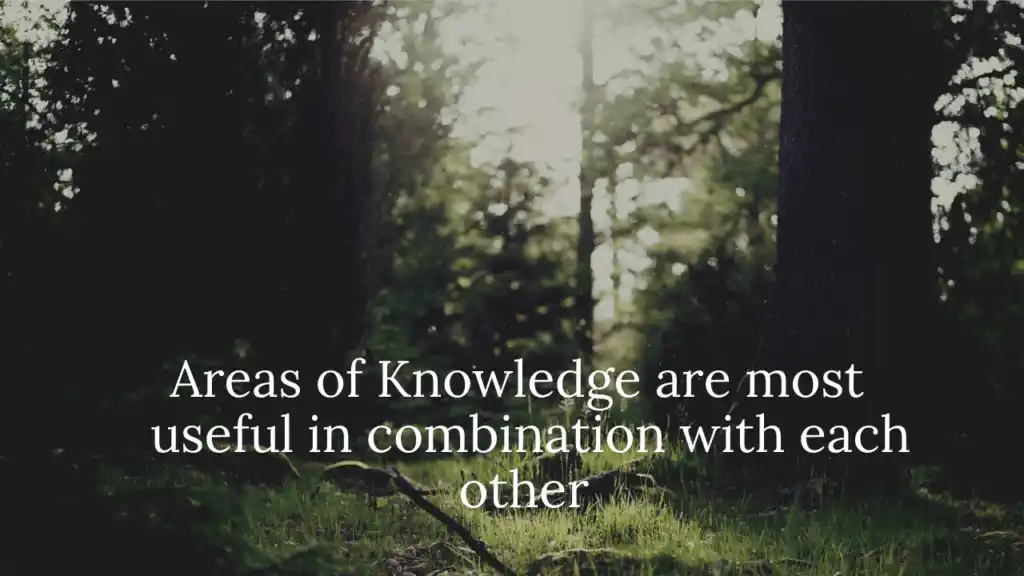 Areas of Knowledge are most useful in combination with each other